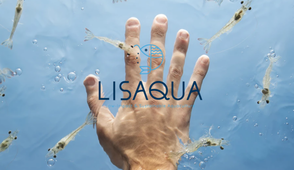 Lisaqua – SAINT HERBLAIN (44) – Unité piloté de grossissement de crevettes
